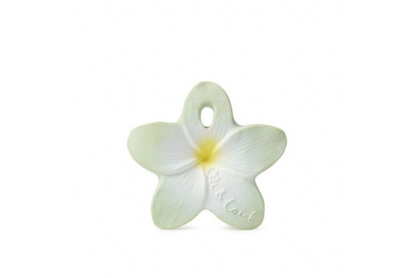 OLI&CAROL POP THE POPPY