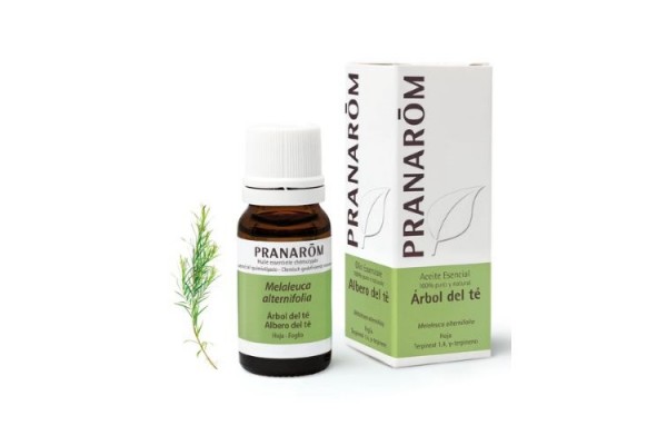 PRANAROM ACEITE ESENCIAL EUCALIPTO RADIATA 10 ML